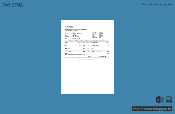 Beispiel einer Gehaltsabrechnung von Arcadis Consulting India (Vorschau)